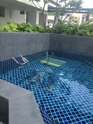 Coralis (D15), Condominium #528300801